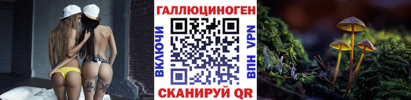 Галлюциногенные грибы мицелий  Купить  Бородино 