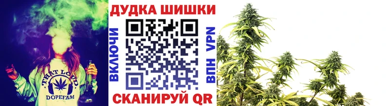 Бошки Шишки Amnesia  Купить закладки  Бородино 